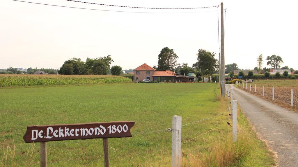 De Lekkermond Guest House Diksmuide Ngoại thất bức ảnh